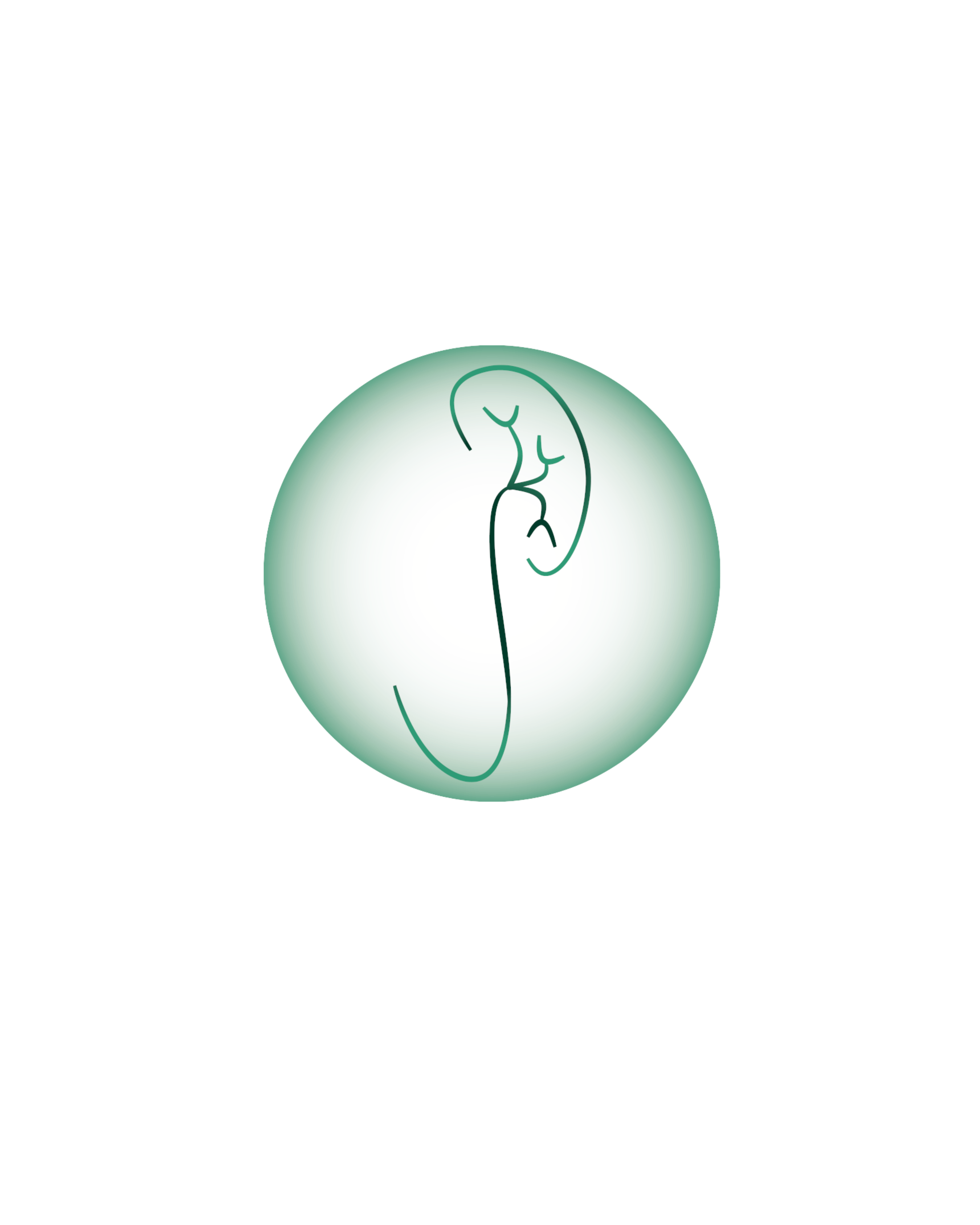 Dr. Nicolás Djivelekian Logo